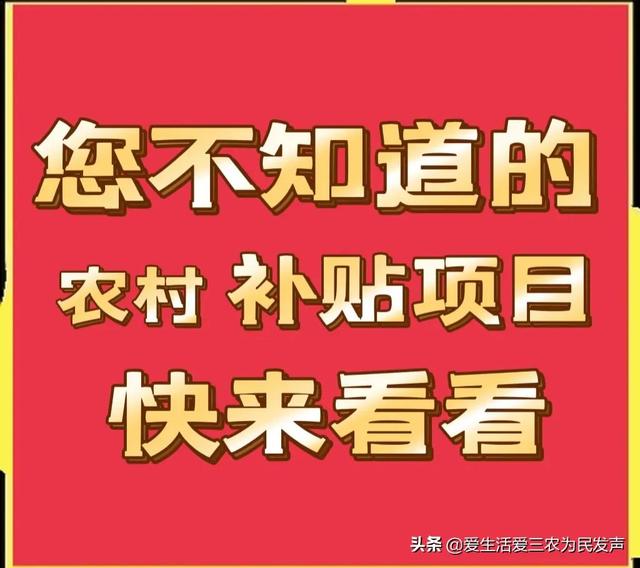 政府補(bǔ)貼項(xiàng)目查詢2020，政府補(bǔ)貼項(xiàng)目查詢2020情況？