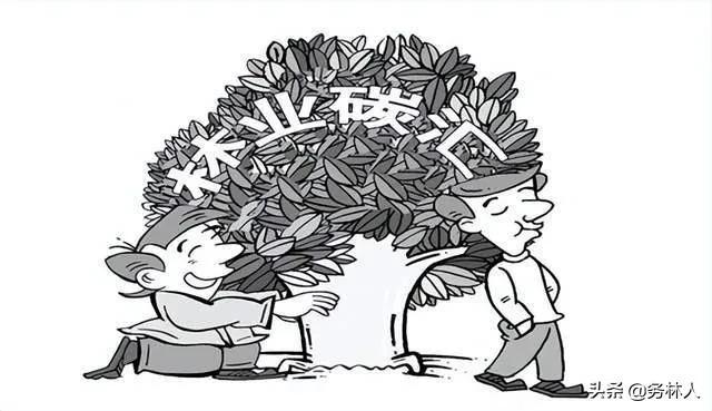林業(yè)碳匯項目是什么意思啊，林業(yè)碳匯是指什么？