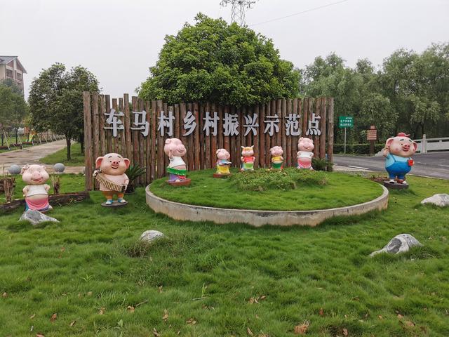 一一直播體育視頻，一一直播體育一？