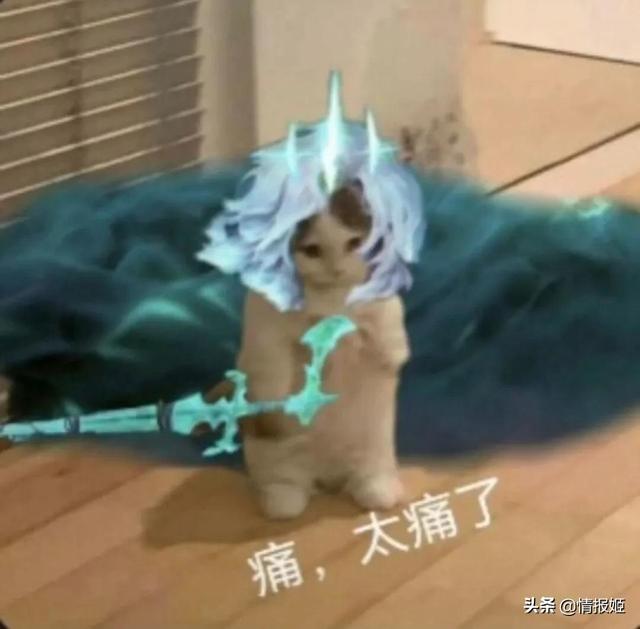 王老菊在哪直播_（王老菊在哪直播艾爾登法環(huán)）