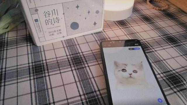 022能賺錢的項(xiàng)目，2022如何賺錢？"