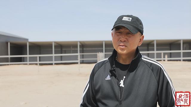 正宗的駱駝奶多少錢一斤（正宗駱駝奶多少錢一箱）
