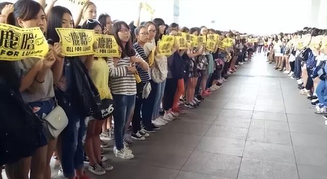 鹿晗粉絲叫什么，鹿晗粉絲叫什么蘆葦系？