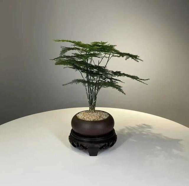 抖音選品的核心邏輯