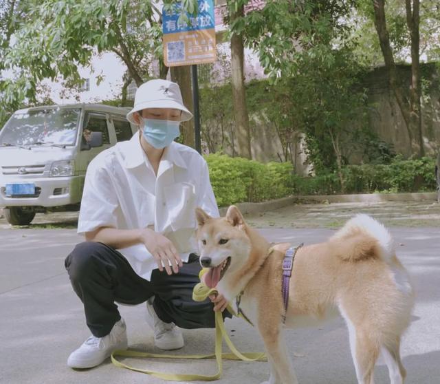 訓(xùn)犬師學(xué)校哪個(gè)比較好（訓(xùn)犬師培訓(xùn)學(xué)校排名）