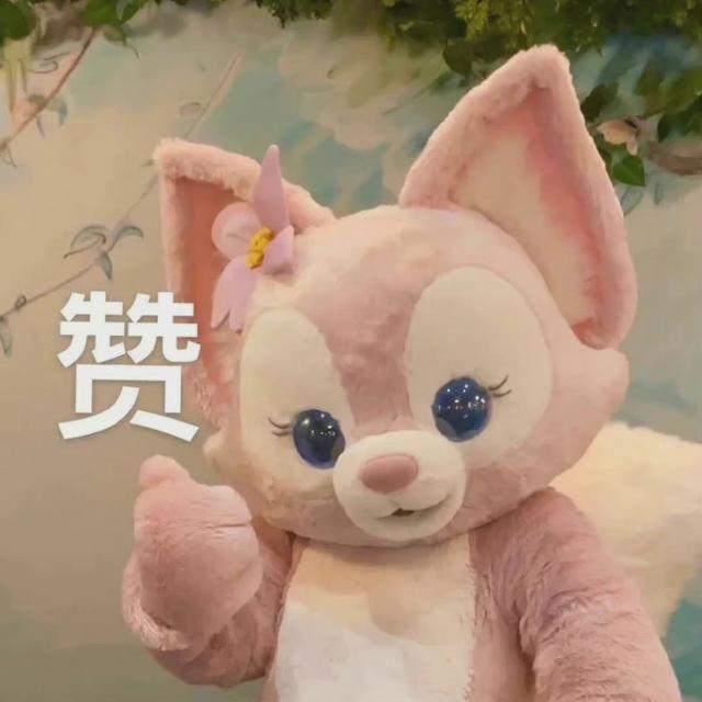 龜龜是哪個明星的粉絲名（龜龜是誰家粉絲）