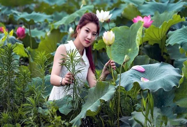 接天蓮葉是什么季節(jié)的_（接天蓮葉是不是夏天）