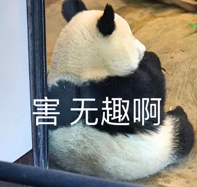 盤點2022年抖音網(wǎng)絡熱梗流行詞沙雕表情包