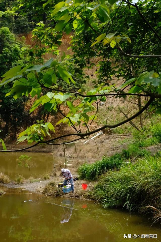 莆田小魚網(wǎng)純莆天地（莆田小魚網(wǎng)招聘最新招聘信息）