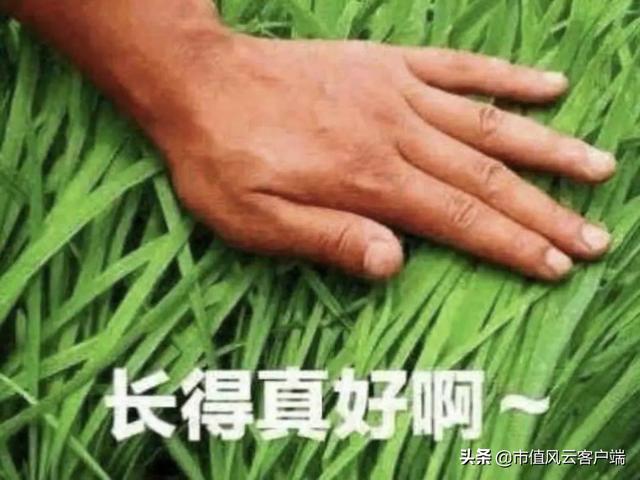 拼多多返利軟件哪個(gè)最好 知乎，拼多多返利軟件哪個(gè)最好用？