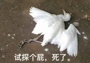 可以掙錢的軟件app下載（可以掙錢的軟件app游戲）