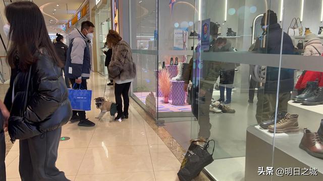 靈動長春微信小程序安全嗎，靈動長春微信小程序下載？