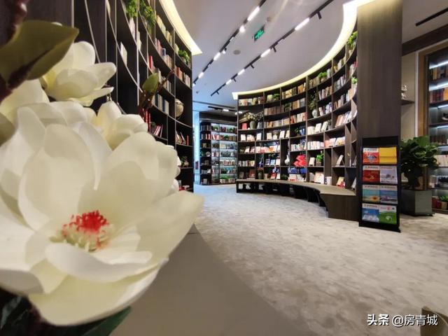 粉絲經(jīng)濟是什么時候出現(xiàn)的，粉絲經(jīng)濟的現(xiàn)狀與趨勢？