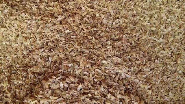 蜜芽是什么平臺模式（蜜芽類似的平臺）