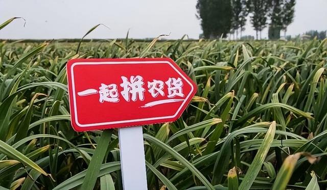 淘寶618什么時候結(jié)束2021（淘寶618什么時候結(jié)束_淘寶618活動時間幾號到幾號_）