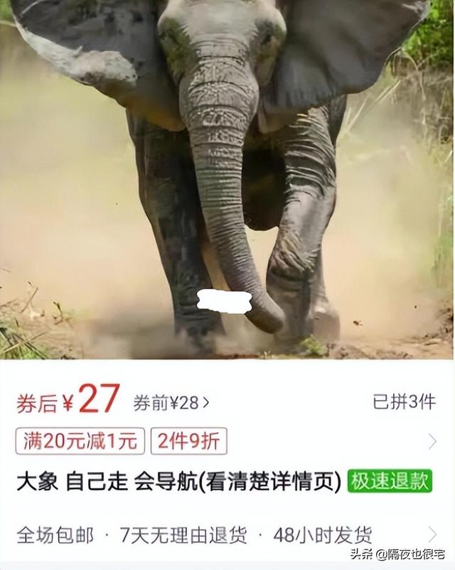 拼多多客服怎么申請(qǐng)?jiān)诩夷茏鰡幔ㄆ炊喽嘣诩铱头趺磻?yīng)聘）
