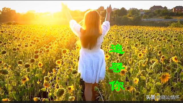 waitingforlove抖音女生，最近抖音空靈的英文女聲bgm？