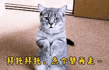 抖音很火的生日祝福語老公，抖音很火的生日祝福語女兒？