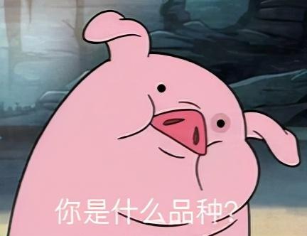 早上送牛奶兼職6點到8點的一般在什么地方找（早上送牛奶兼職6點到8點的羅山縣）