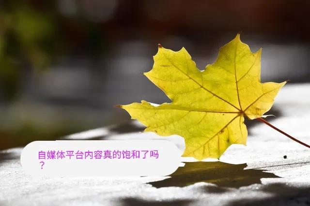 網(wǎng)易號(hào)自媒體平臺(tái)注冊官網(wǎng)（網(wǎng)易號(hào)自媒體平臺(tái)注冊入口）