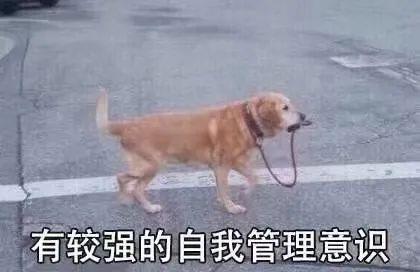 匡威舌頭總跑偏怎么系鞋帶（匡威舌頭總跑偏怎么解決辦法）