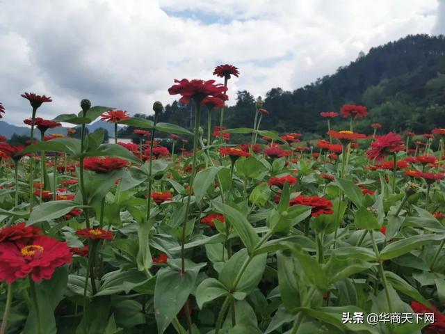家人病逝不宜發(fā)朋友圈,如果已經(jīng)發(fā)了怎么辦，家里人病逝怎么發(fā)朋友圈？