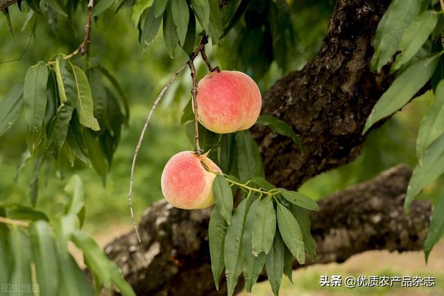 宣傳廣告創(chuàng)意文案怎么寫（廣告文案怎樣寫）