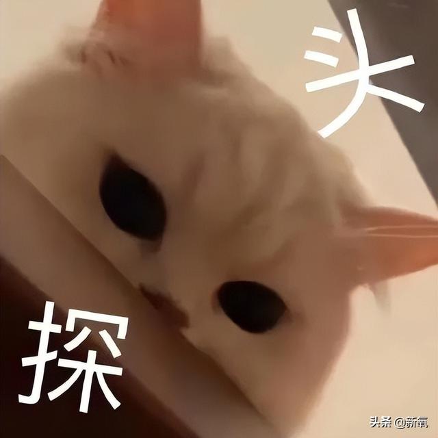 抖音很甜的情侶男的不露面（抖音情侶里有個女生,男生一直沒有出現(xiàn)過）