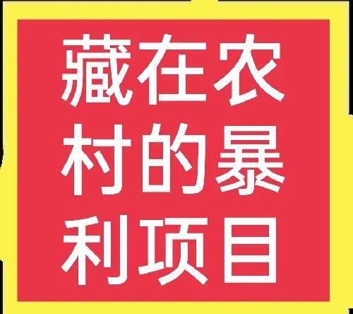 農(nóng)村致富網(wǎng)養(yǎng)殖業(yè)，農(nóng)村致富網(wǎng)小投資項(xiàng)目2020？