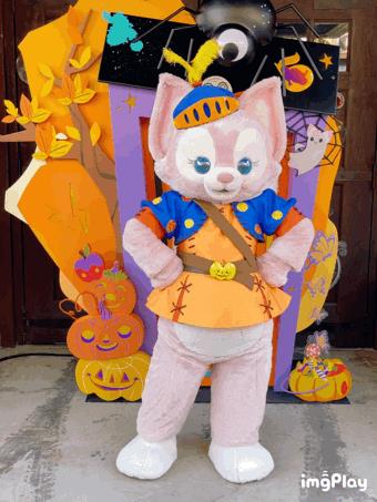龜龜是哪個明星的粉絲名（龜龜是誰家粉絲）