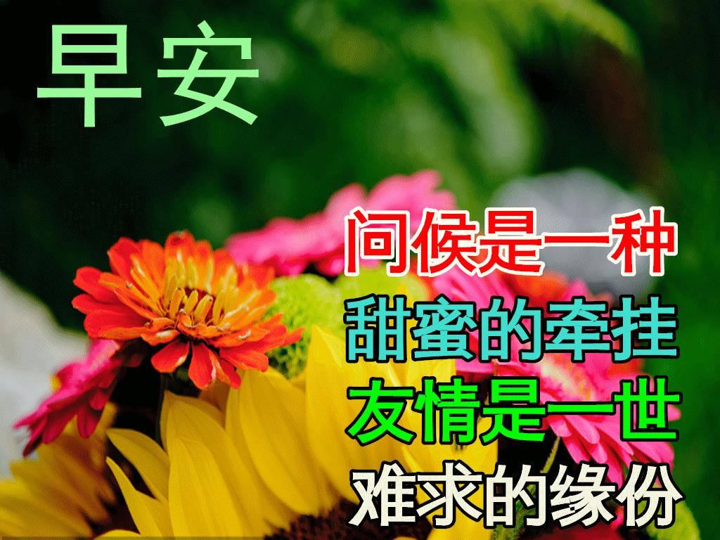 喝早茶的說(shuō)說(shuō)發(fā)朋友圈，喝早茶發(fā)朋友圈的句子簡(jiǎn)短？