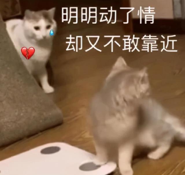 抖音快手多少粉絲可以賺錢?。ǘ兑艨焓钟卸嗌俜劢z就可以賺錢）