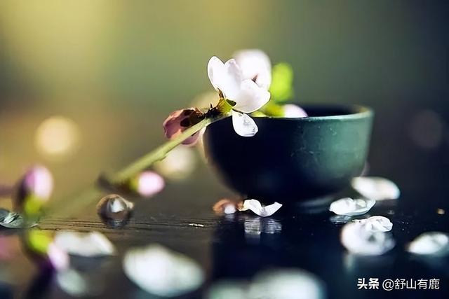 桃花劫是情劫嗎，桃花劫要擋,桃花債要還？