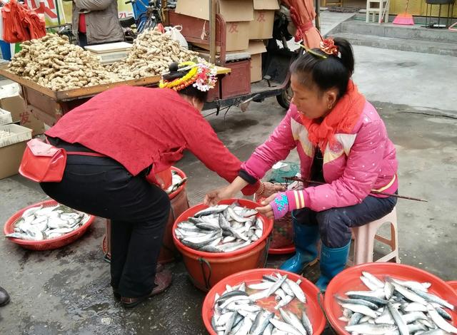 小貨車(chē)趕集賣(mài)什么好（適合農(nóng)村趕集擺攤的小生意）