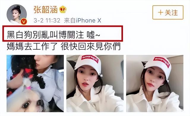 張韶涵當(dāng)年的事件（張韶涵發(fā)生什么事了）