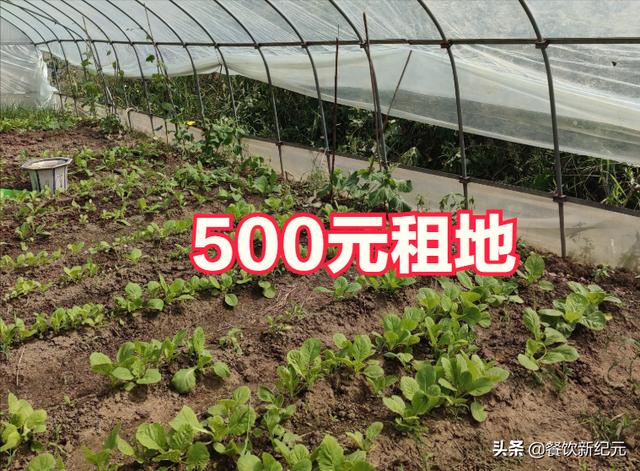 000萬怎么創(chuàng)業(yè)，500塊錢能創(chuàng)業(yè)嗎？"