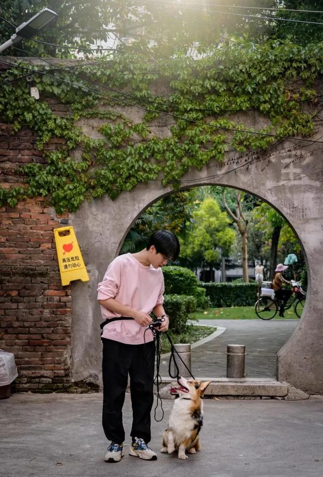 訓(xùn)犬師學(xué)校哪個(gè)比較好（訓(xùn)犬師培訓(xùn)學(xué)校排名）