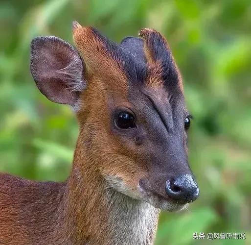 沒錢走投無路怎樣創(chuàng)業(yè)呢，沒錢走投無路怎樣創(chuàng)業(yè)呢知乎？