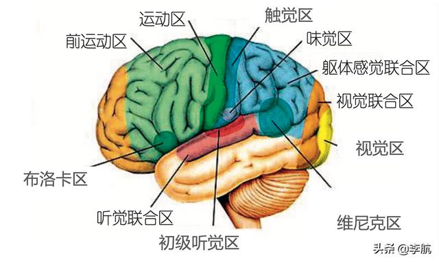 腦葉公司官方漫畫合集（腦葉公司官方漫畫網(wǎng)站）