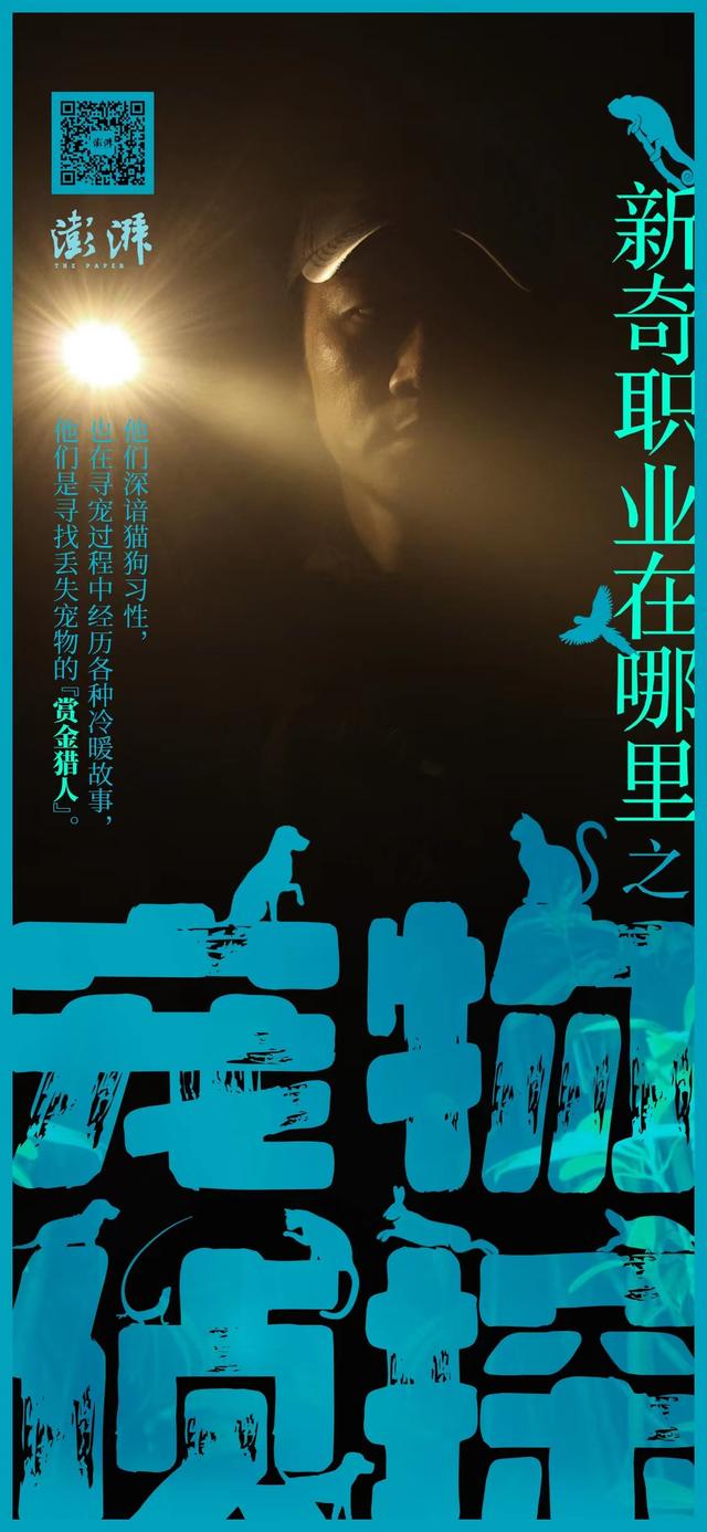 懸賞貓賺錢是真的嗎安全嗎，懸賞貓賺錢是真的嗎安全嗎？