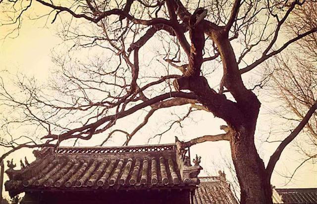 奇聞異事素材庫(kù)（奇聞異事素材下載）