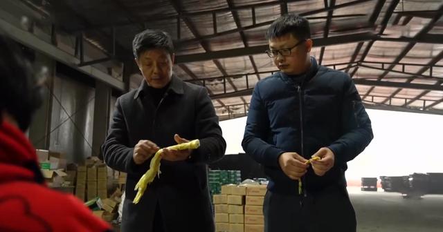 最適合打工還債的工作（女的做還債好還是討債好）