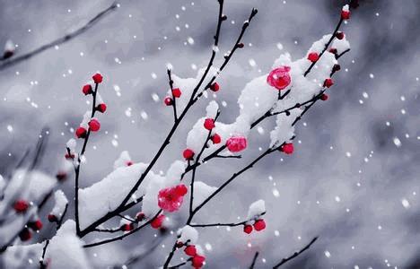 今天的天氣預(yù)報(bào)直播回放視頻，今天的天氣預(yù)報(bào)直播回放視頻下載？