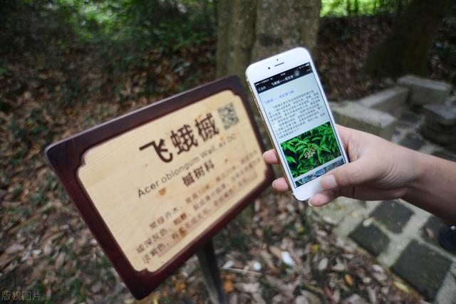 二維碼原理解析教程（二維碼原理解析圖）