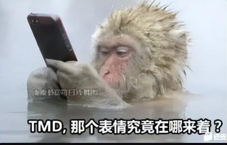 公眾號一天怎么發(fā)2次推送內容，公眾號一天怎么發(fā)2次推送文章？