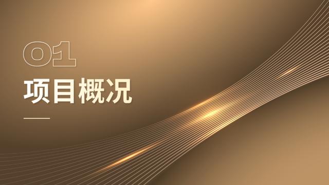 學(xué)生做ppt賺錢去哪個(gè)平臺（做ppt賺錢去哪個(gè)平臺賺得多少錢）