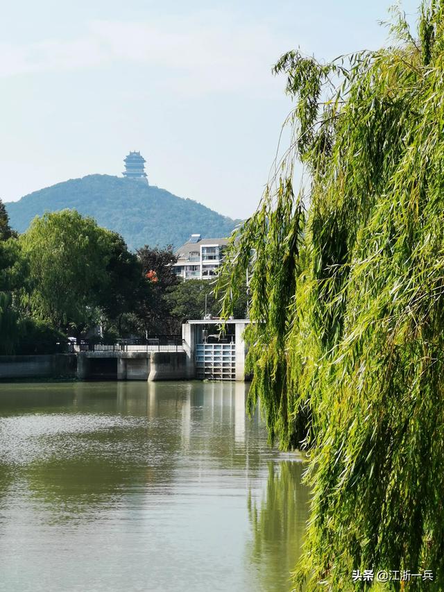澳龍多少錢一斤市場價(現(xiàn)在澳龍多少錢一斤)