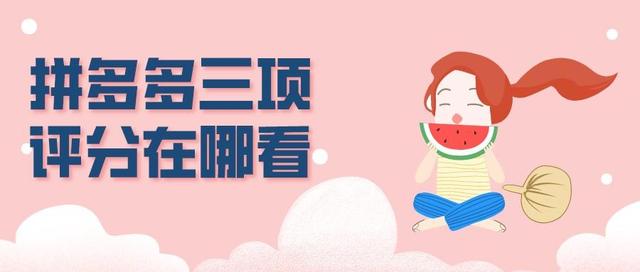 店鋪動(dòng)態(tài)評(píng)分dsr分別指什么（店鋪DSR動(dòng)態(tài)評(píng)分各項(xiàng)指標(biāo)的評(píng)分名稱分別是 、 和）