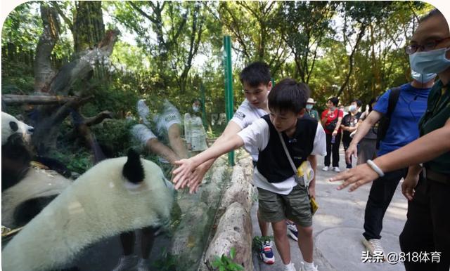長(zhǎng)隆水上樂(lè)園項(xiàng)目圖片高清，長(zhǎng)隆水上樂(lè)園項(xiàng)目圖片介紹？