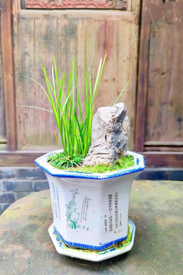 經(jīng)常發(fā)花草朋友圈的女生，朋友圈愛發(fā)花花草草的女人？